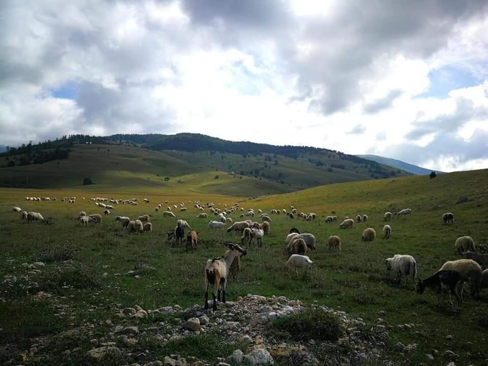 Natura As Gornji Lukomir Exterior photo